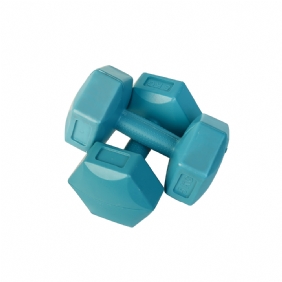 TG-2007 DUMBELL 5 KG x 2